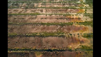 Record-breaking heatwaves disrupt global food supply chains in 2026