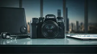 Decoding Investment Trends: Navigating the Indian Market