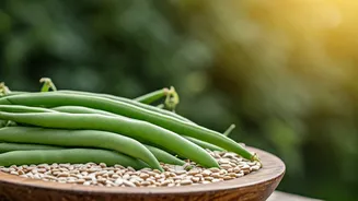 Related Stories banner