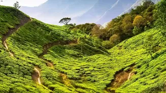 Budget Plantation Holidays Are Perfect For Monsoon And Beyond