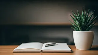 R Madhavan's Blueprint: 4 Home Habits to Cultivate Success and Serenity