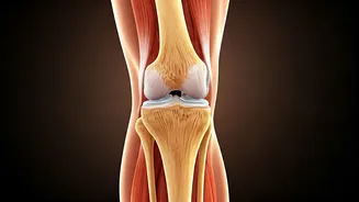 Related Stories banner