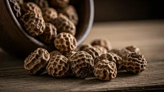 Unleash Your Inner Dynamo: The Natural Energy Secrets of Tiger Nuts