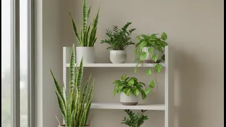 Low-Maintenance Greenery For Monsoon Living