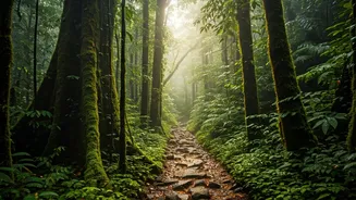 Head To Rain Kissed Agumbe Trails For Weekend Walks