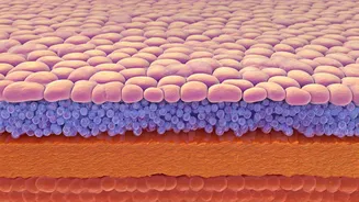 Why Healthy Skin Begins With A Strong Barrier