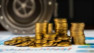 Investment Hesitancy: Decoding Indian Investors' Choices