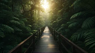India's Most Scenic Forest Walks Aren't On Ground