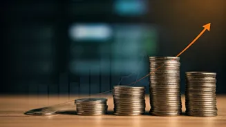 Indian Stocks: Gains and Future Trends Seen