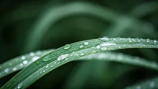 Monsoon Beauty Routine Everyone Wants To Copy