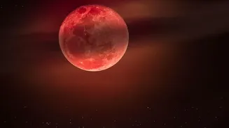 A Lunar Eclipse Is Approaching: Here's What Skywatchers Can Expect
