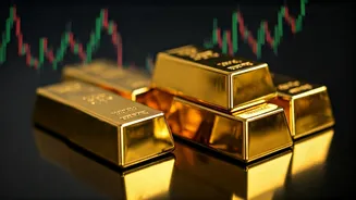 IPO Mania: Decoding Trends, GMP & Investments in India