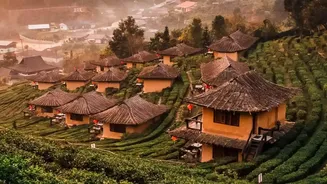 Remote professionals from Tier 2 cities escape to Coorg coffee estates for workations