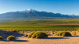 Related Stories banner