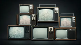 Unveiling Pop Culture: TV Trivia Gems