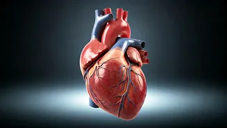 Unveiling Heart Health: 9 Ways to Lower Blood Pressure