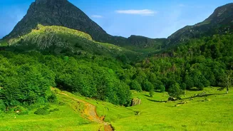 Rain-Ready Travellers Enjoy Better Western Ghats Experiences