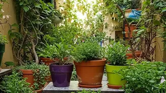 Flowering Plants Are Helping Urban Indian Homes Stay Green As The Monsoon Season Eases