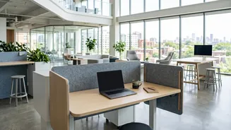 Office Infrastructure: As AI Changes Entry-Level Work