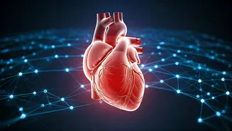 India's Silent Heart Crisis: Bridging the Cardiology Gap for 28% of Deaths