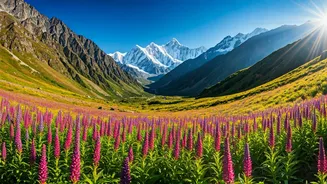 Pack Bags As Uttarakhand Valley Of Flowers Opens Summer