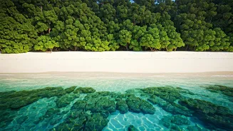 Low Occupancy Makes Andaman Resorts Feel Exclusive