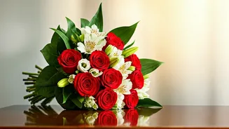 Malaika Arora's Birthday: Arjun's Heartfelt Wishes