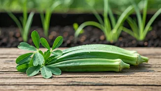 Urban Gardening Guides Demystify Intricate Seasonal Indian Planting Cycles Effortlessly