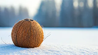 Should You Drink Coconut Water in Winters? Decoding the Facts!