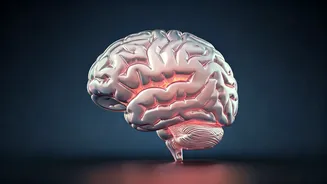 Unlock Your Potential: 12 Essential Steps to Master Emotional Intelligence