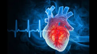 American Heart Association Updates Cholesterol Guidelines, Focuses On Lifetime Heart Risk Reduction