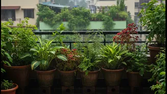 How To Build A Better Balcony Garden For India's Wettest Weeks