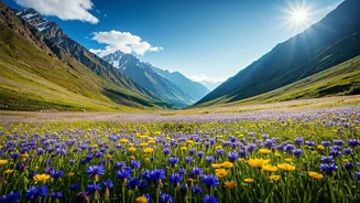 Pack Bags For Uttarakhand Valley Of Flowers Summer Season
