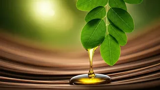 Unlock Luscious Locks: Moringa Oil for Scalp Health, Dandruff Relief & Hair Growth