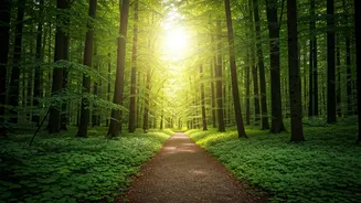 New Year 2026: Introspection & Growth After 2025