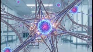 Exercise-Trained Muscle And Molecular Ageing Could Reshape Everyday Decisions Around Consistency, Muscle Metabolism And Ageing