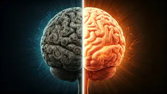 Can Your Brain Age Faster Than Your Body?