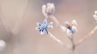 O inverno da alma: o que o frio interior ensina sobre fé, silêncio e recomeços