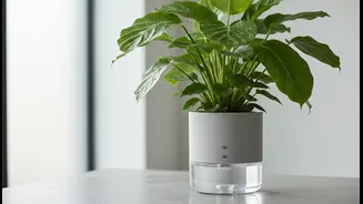 How busy professionals use sub-irrigated capillary pots to keep houseplants thriving effortlessly