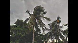 Understanding Weather and Climate: Key Differences and Impacts