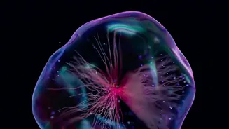 New Memory Research Draws Attention To Brain Representations