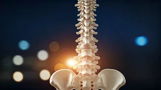 Unmasking the Dangers of Prolonged Sitting on Your Health