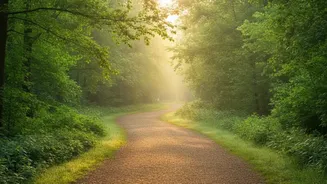 Zone-2 Cardio Essentials: Improving Cellular Energy And Metabolic Health With Low-Impact Jogging