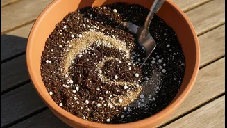 How To Mix Perfect Ratios Of Sand And Perlite For Rain-Resilient Balcony Gardens This Month