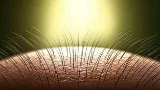 Indian Beauty Routines Are Going Scalp-First Now