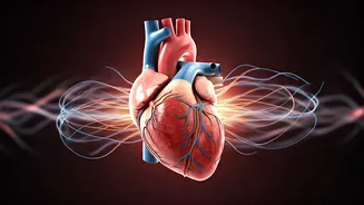 Beyond the Treadmill: Why Fit Lifestyles Aren't Always Heart-Healthy