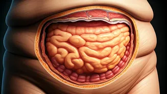 Abdominal Fat: The Silent Threat More Dangerous Than General Obesity in India