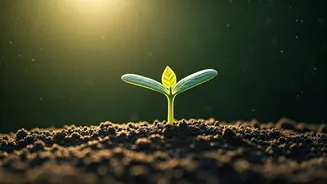 Related Stories banner