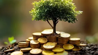 Increasing Monthly Mutual Fund Investments By 10 Percent Annually Can Double Long Term Wealth