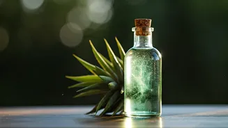 Achieve Lustrous Locks: Try This Magical Elixir!